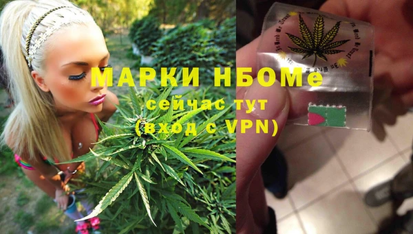 гидропоника Ладушкин
