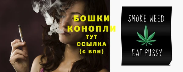 гидропоника Ладушкин