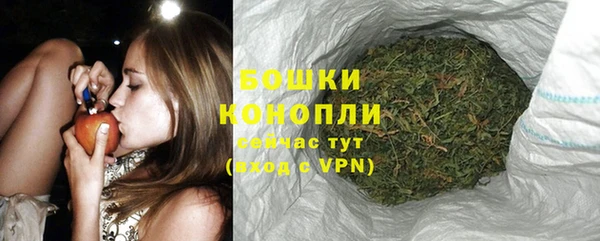 гидропоника Ладушкин