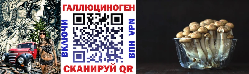 Псилоцибиновые грибы Cubensis  Осташков 